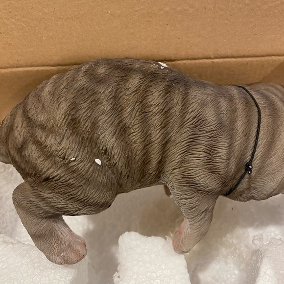 Grey Tabby Kitty Peeker - Picture 6 of 7